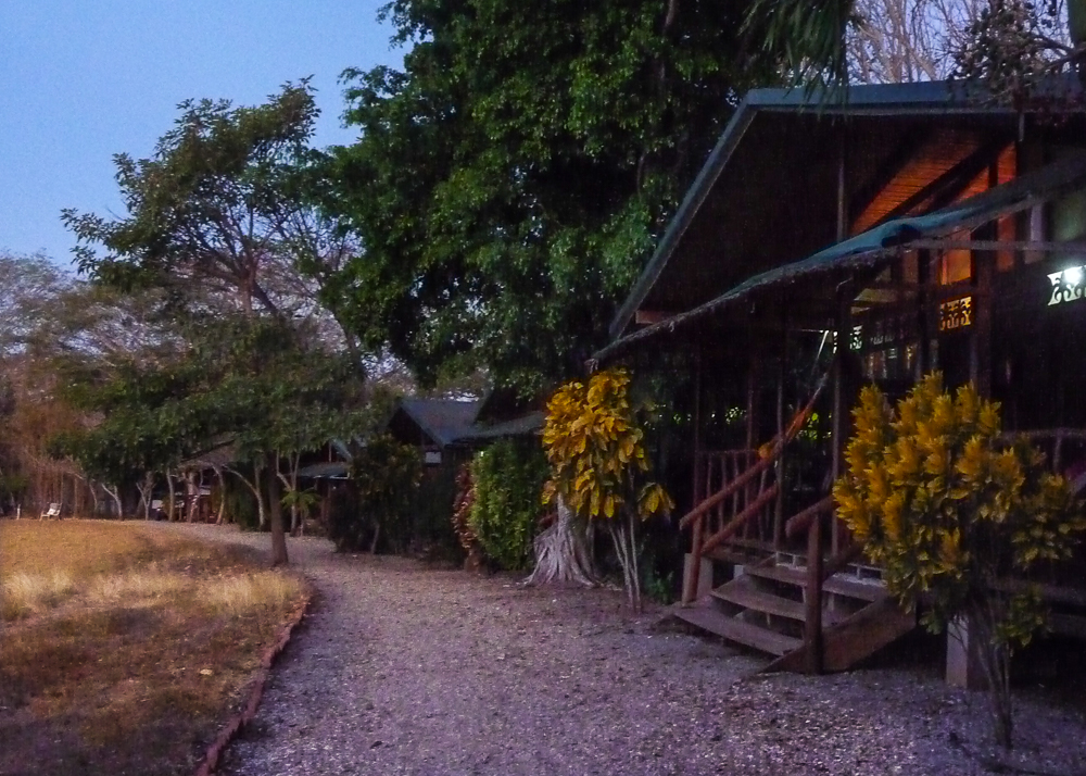 Days 8 to 9: Northern Pacific region - Gulf of Nicoya